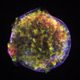 Image: NASA/CXC/Rutgers/J.Warren & J.Hughes et al./Wikimedia Commons